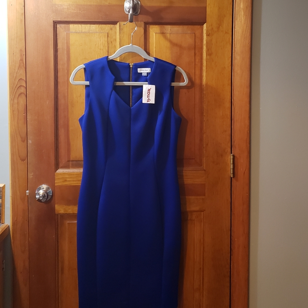 Royal Blue Calvin Klein